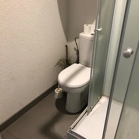 Apartman Loft Proche Colmar