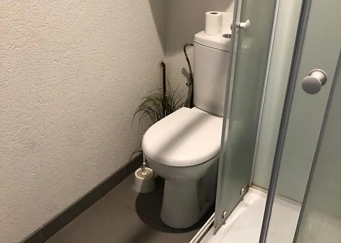 Apartman Loft Proche Colmar